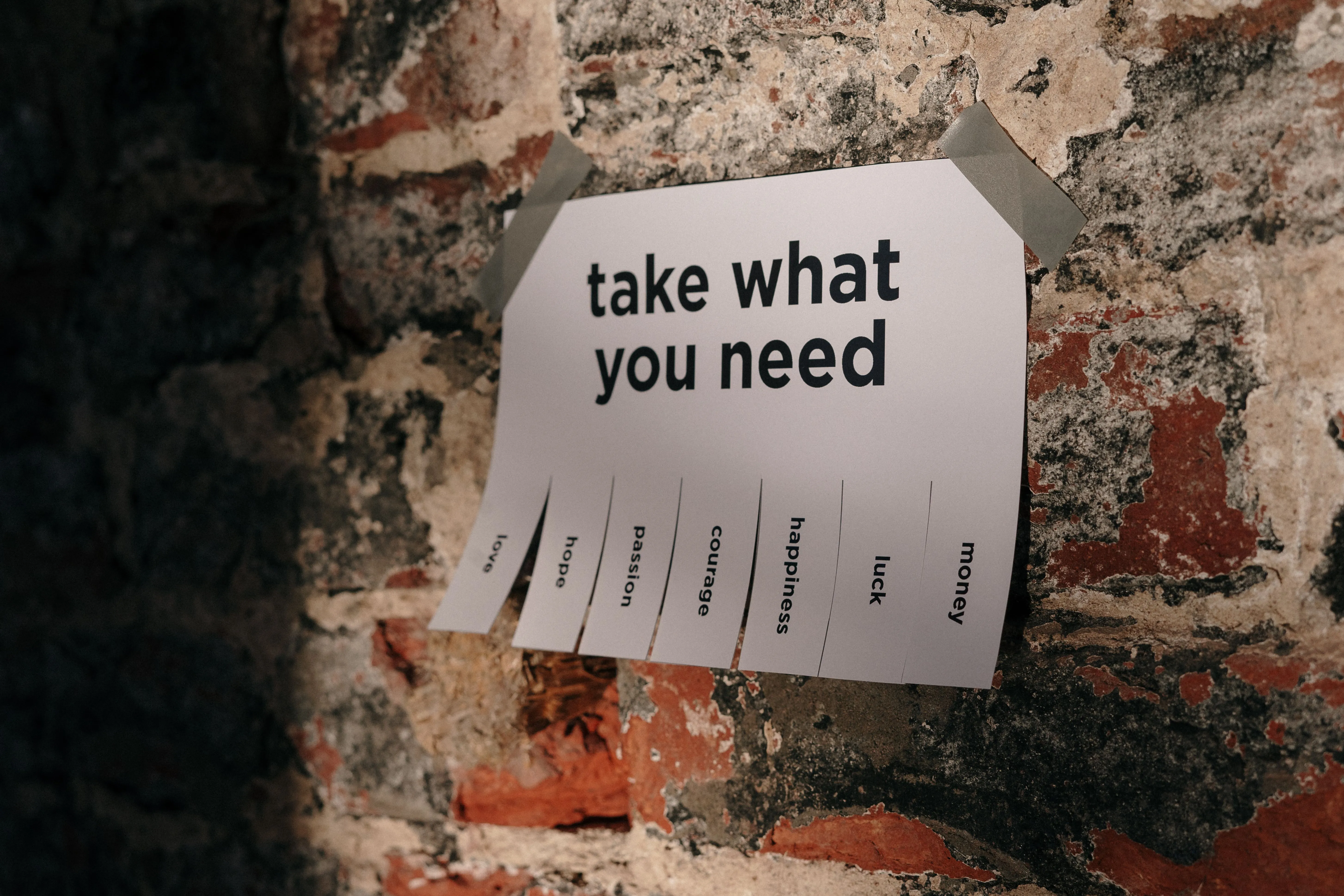 CBAM Calculator Comparison: Which Tool Fits Your Business?