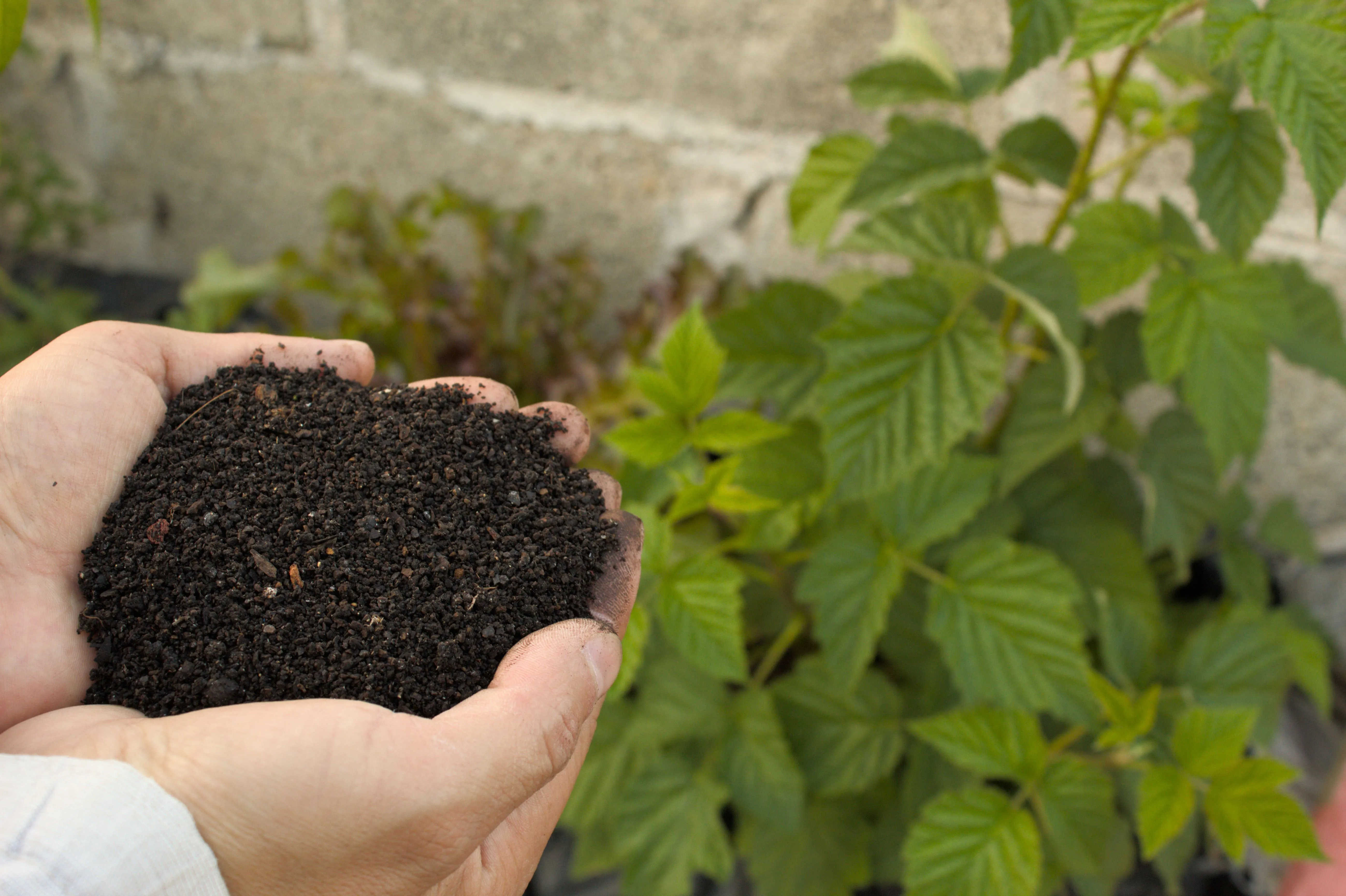 CBAM Compliance for Fertilizer Importers